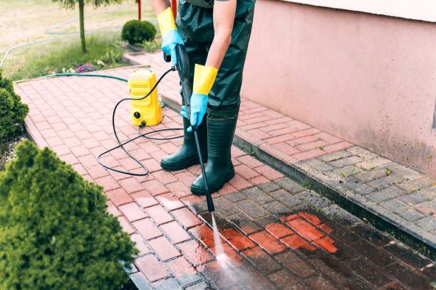 Best Solar Panel Cleaning  in Thomson, GA